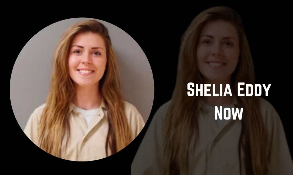 Shelia Eddy Now